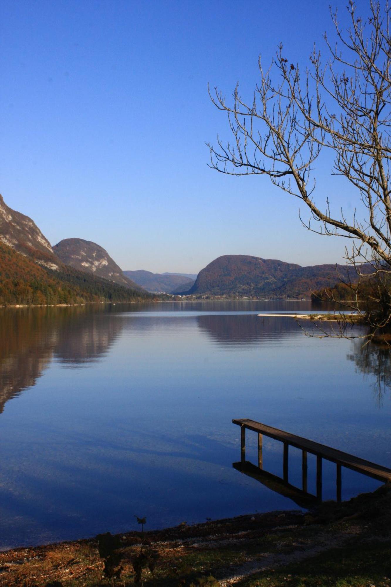 Apartments Susnik Bohinj Exterior foto